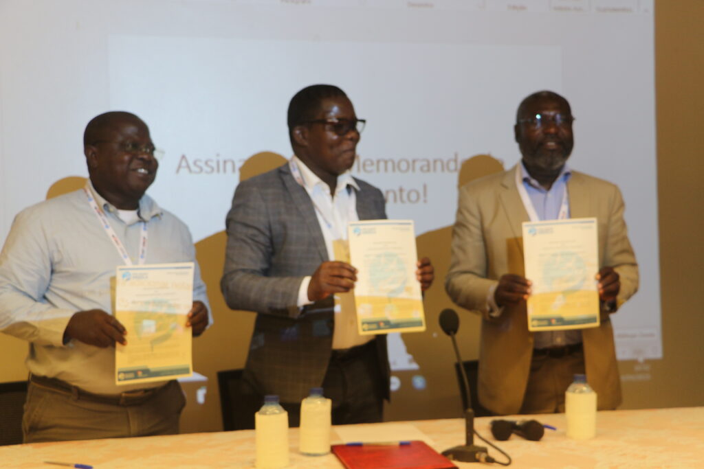 Parcerias institucionais